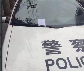 广州假警车最新爆料视频,揭秘伪装真相