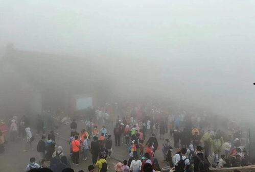 宿迁游客爆料新闻,惊现神秘景点，揭秘古城新魅力