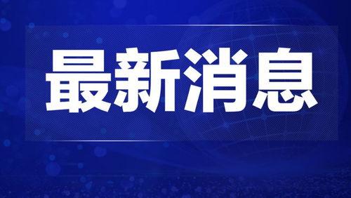 石湾热点爆料新闻报道最新,最新爆料揭示惊人真相！