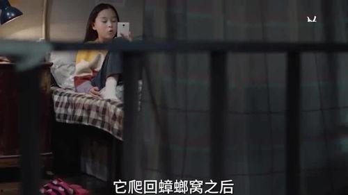 三姐被捉爆料视频,揭秘背后惊人真相