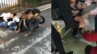 疯狗2008在线观看,狂野岁月，激情燃烧的青春岁月