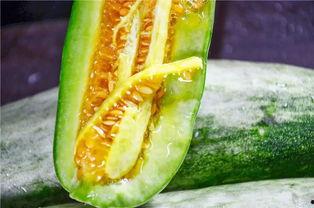 吃日本瓜的网红,口感揭秘引热议！