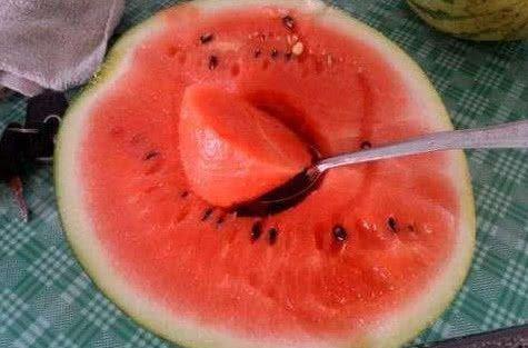 吃日本瓜的网红,口感揭秘引热议！