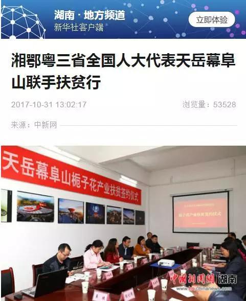 岳阳市最新爆料新闻报道