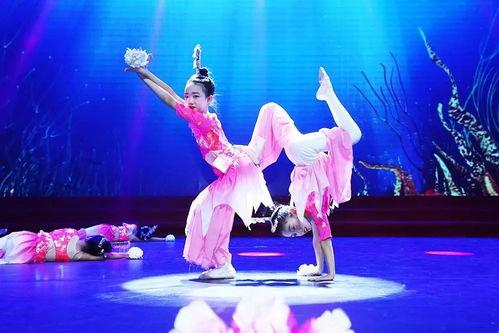 爆料雏形舞蹈视频大全集,雏形舞蹈视频大全集精彩回顾