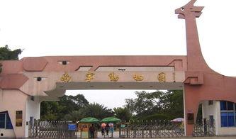 南宁动物园爆料视频,萌宠大作战，欢乐无限！