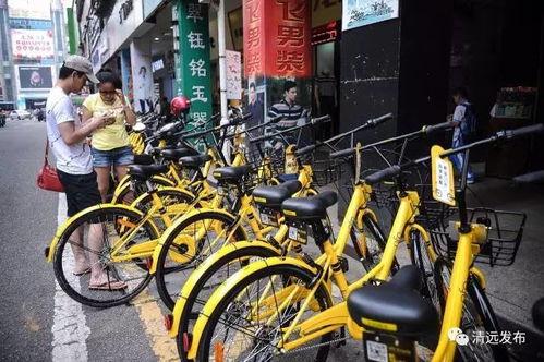 清远小黄车最新爆料,揭秘共享单车背后的秘密与挑战”