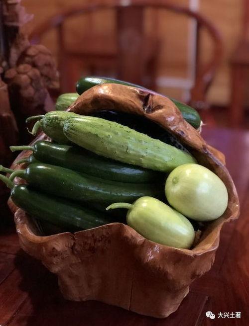 去哪里吃网红瓜,一网打尽美食之旅