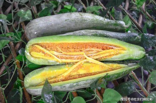 去哪里吃网红瓜,一网打尽美食之旅