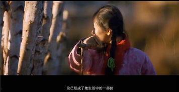 电影我的父亲母亲在线观看,我的父亲母亲——重温乡村爱情与岁月变迁的温馨画卷