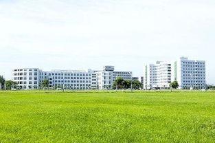 新乡医学院免费吃瓜,免费瓜果盛宴等你来享