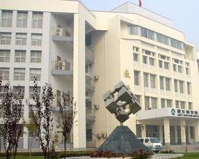 新乡医学院免费吃瓜,免费瓜果盛宴等你来享