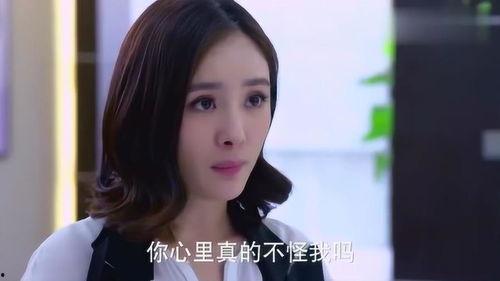 高翻院电视剧在线观看