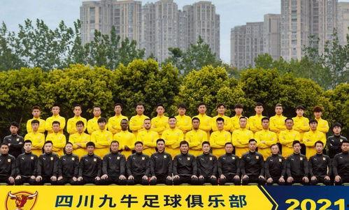 四川米高最新大爆料,行业巨变背后的惊人内幕