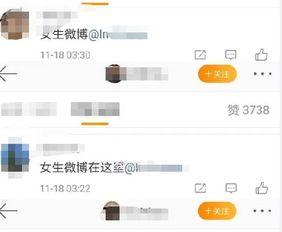 爆料新闻的音频,音频内容深度解析