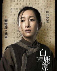 白鹿原大结局在线观看