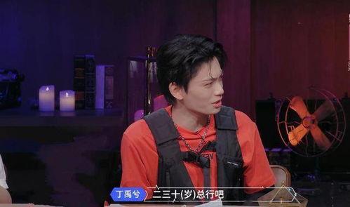 丁禹兮娱乐圈爆料,揭秘明星幕后真相