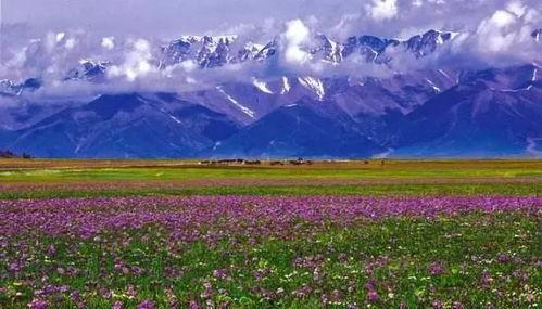 新疆旅游网红爆料视频大全