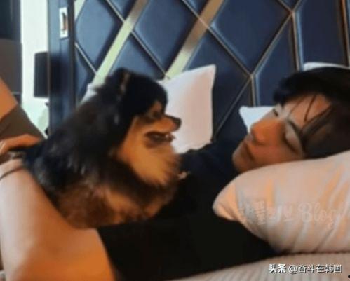 爆料韩国男团恋爱视频,甜蜜瞬间引粉丝热议