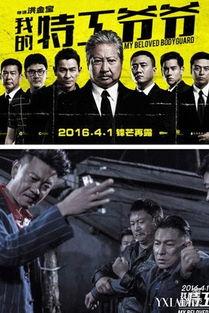 我爷爷是特工在线观看,跟随爷爷的脚步，探寻神秘使命