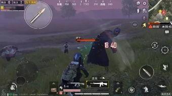 和平精英最新大爆料,神秘新内容即将上线，战火升级，激情再燃！