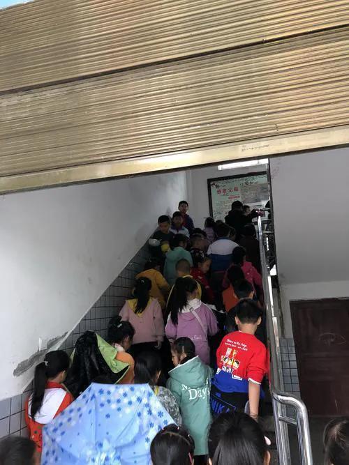 河南中学爆料事件最新,揭开校园乱象背后的真相