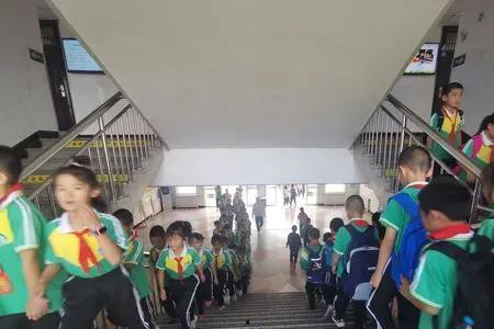 河南中学爆料事件最新,揭开校园乱象背后的真相