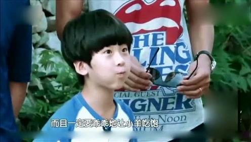 娱乐八卦爆料的ai配音,明星幕后配音大揭秘！