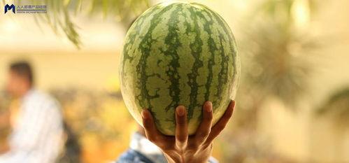 2021娱乐吃瓜,吃瓜群众的热议焦点大盘点