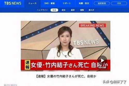 乐凡爆料视频大全集,揭秘幕后真相，带你走进事件核心