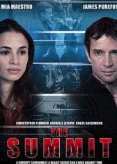 峰会电影在线观看,在线观影盛宴，尽享视听盛宴