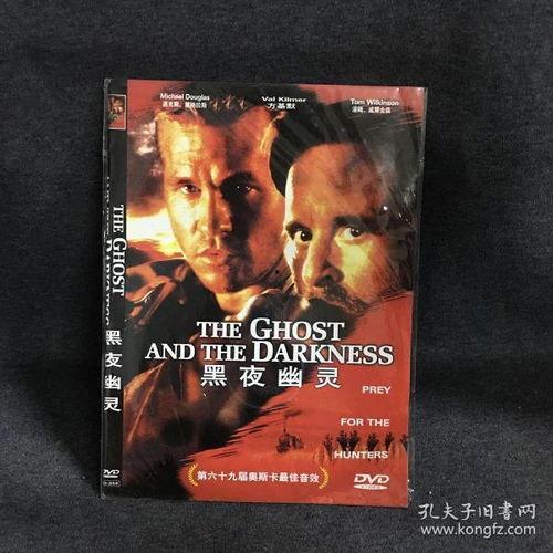 黑夜幽灵在线观看,暗夜降临，神秘幽灵的惊悚之旅